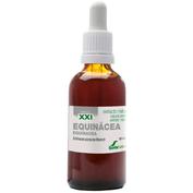 Soria natural ext equinacea siglo soria natural